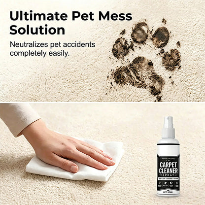 ✨Deep Cleaning Carpet Cleaner Spray