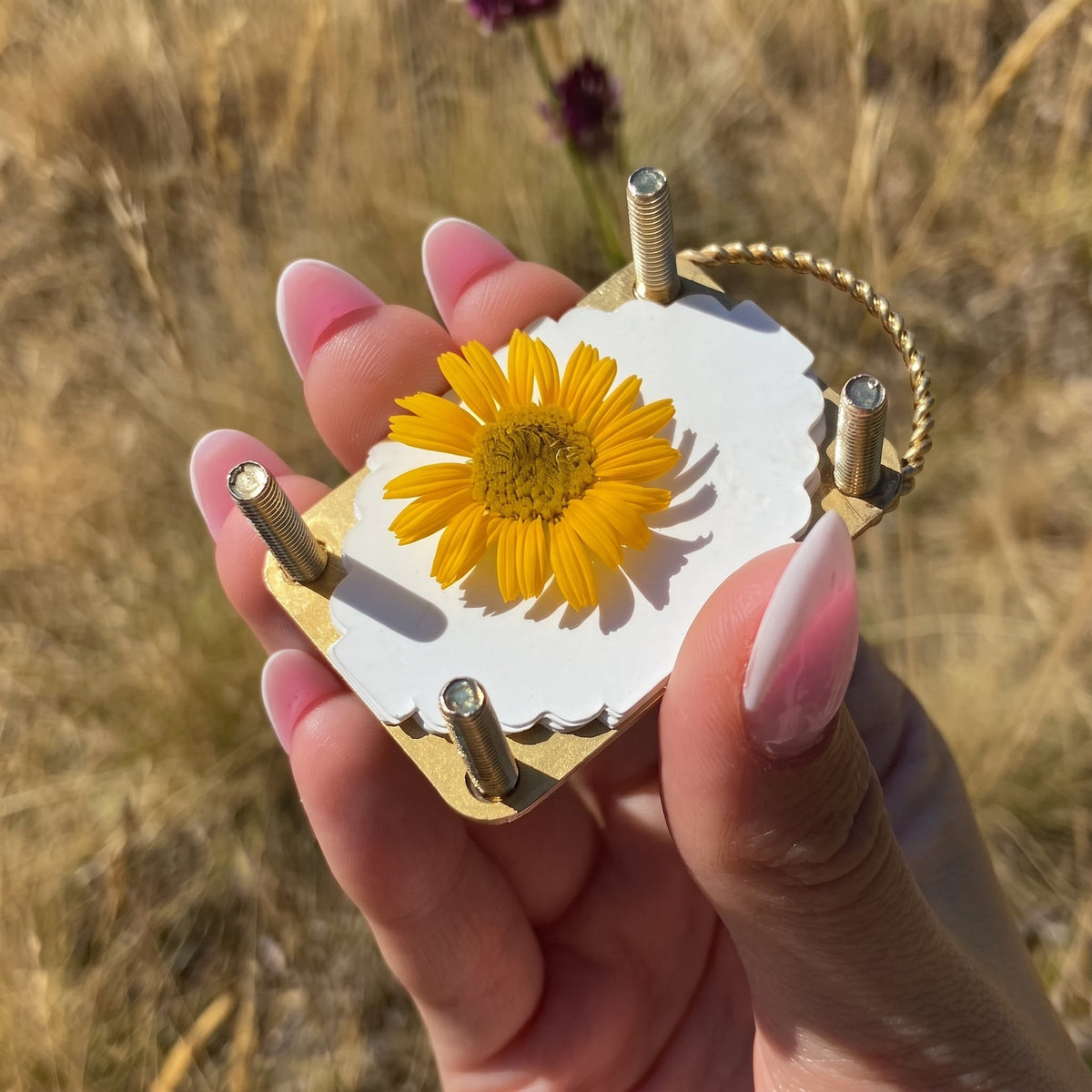 🌼Mini Flower Press | Small Portable Pocket Press