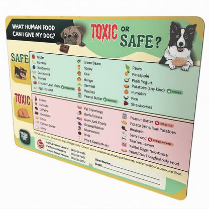 "Can My Dog/Cat Eat This?" Magnet – The Ultimate Quick Guide for Pet Parents! Animal Refrigerator Kitchen Magnet