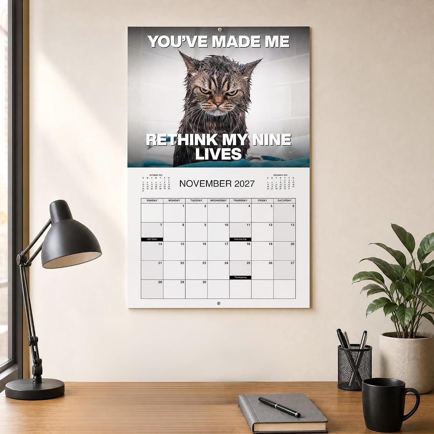 PISSED-OFF CATS 2027 Wall Calendar - Funny Gift for Cat Lovers