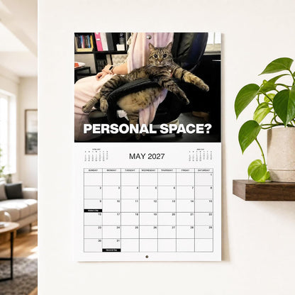 PISSED-OFF CATS 2027 Wall Calendar - Funny Gift for Cat Lovers