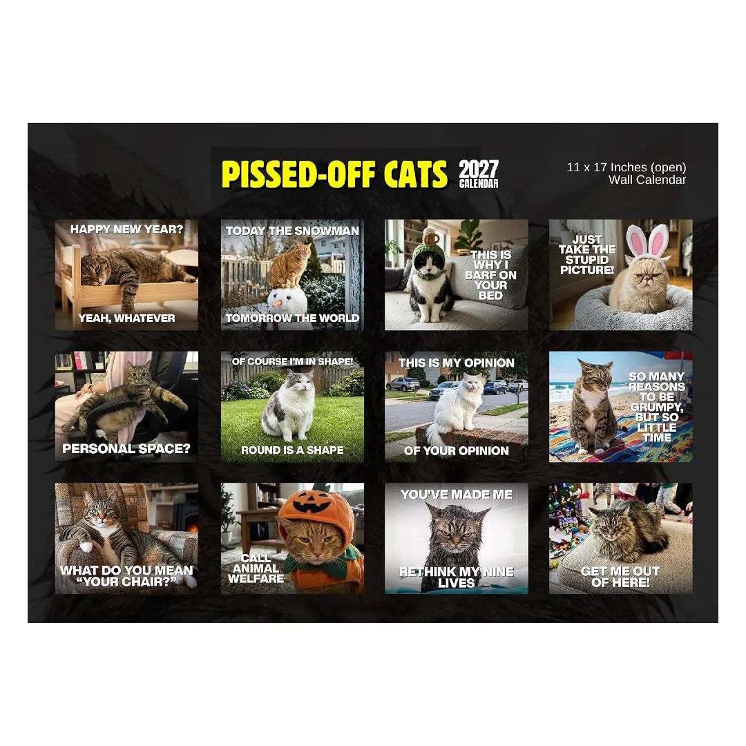 PISSED-OFF CATS 2027 Wall Calendar - Funny Gift for Cat Lovers