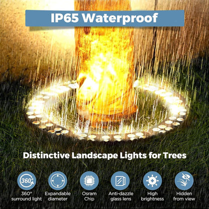 Warm White LED Outdoor Ring Tree Lights
