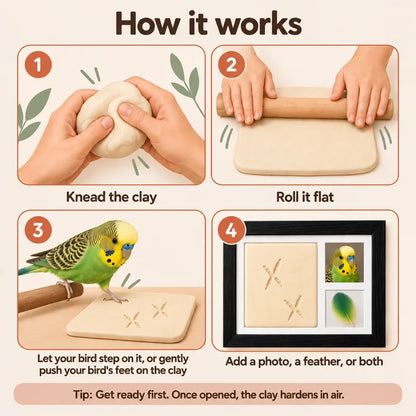Bird Footprint Clay Keepsake Frame Kit