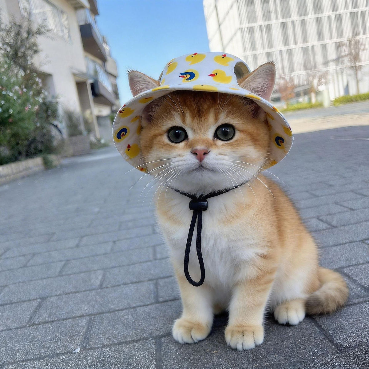 🐾 Cute Printed Pet Bucket Hat – Breathable Sun Hat for Dogs & Cats