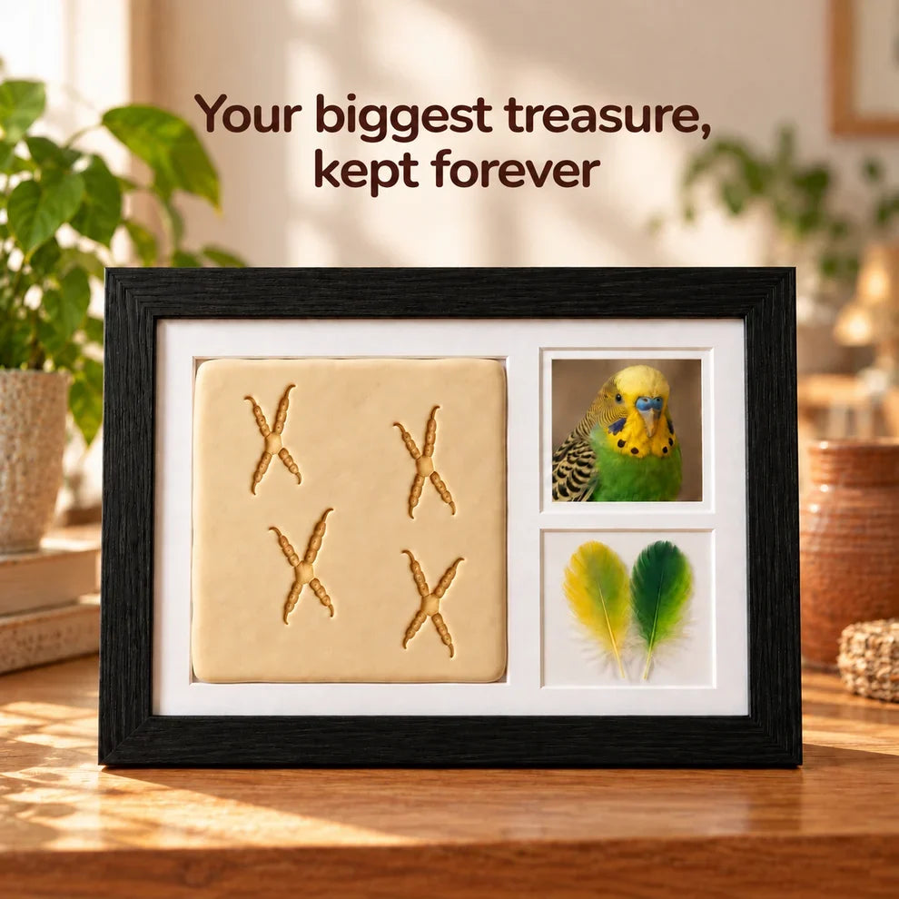 Bird Footprint Clay Keepsake Frame Kit