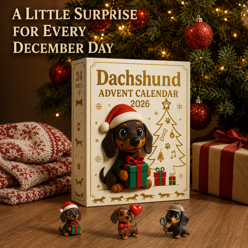 🎁2026 Dachshund Advent Calendar🐶