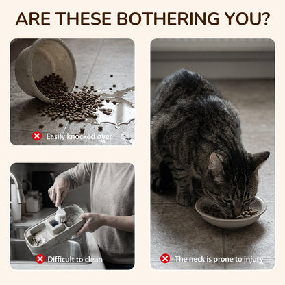 Anti-Slip Elevated 3-Bowl Pet Feeder